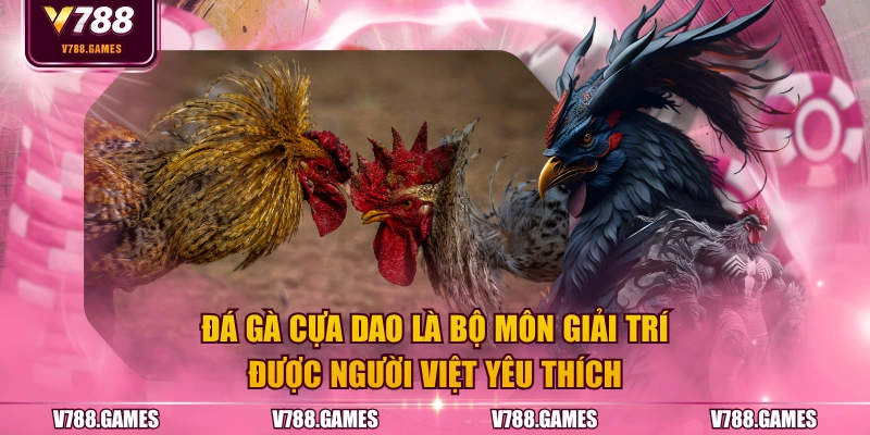 Đá gà cựa dao là bộ môn giải trí được người Việt yêu thích