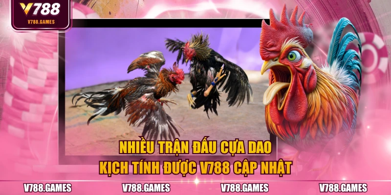 Nhiều trận đấu cựa dao kịch tính được V788 cập nhật