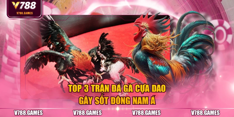 Top 3 trận đá gà cựa dao gây sốt Đông Nam Á